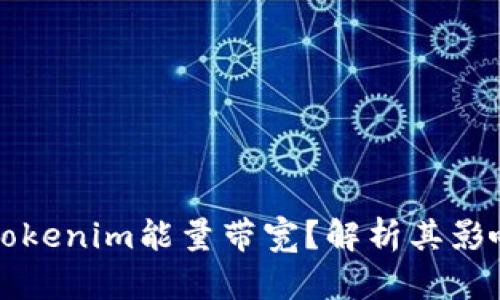 什么是tokenim能量带宽？解析其影响与应用