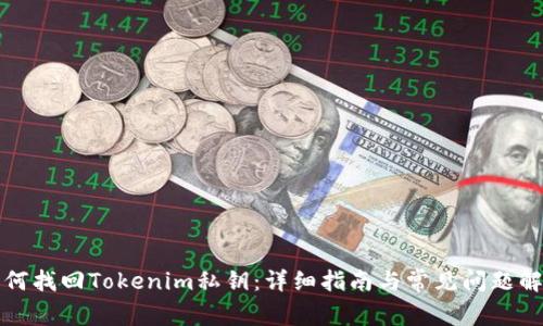 如何找回Tokenim私钥：详细指南与常见问题解答