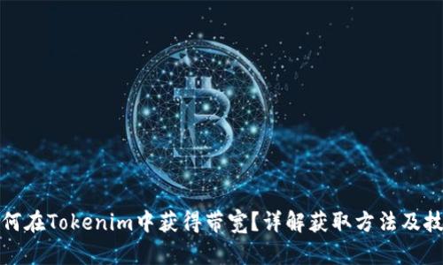 如何在Tokenim中获得带宽？详解获取方法及技巧