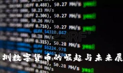 深圳数字货币的崛起与未来展望