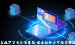 中国数字货币公告集锦：