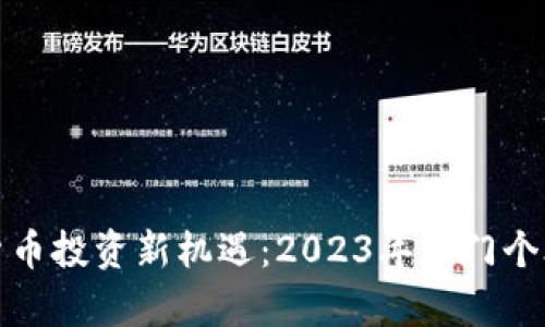数字货币投资新机遇：2023年热门个股解析