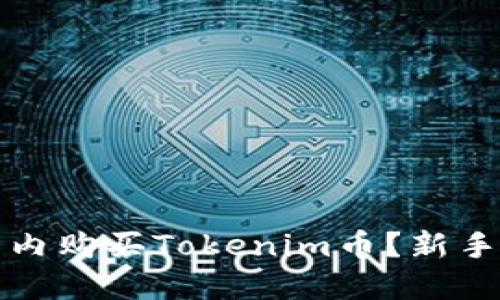 如何在国内购买Tokenim币？新手完全指南