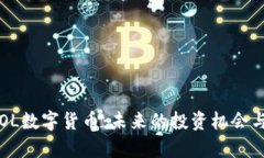 深入探索OL数字货币：未来