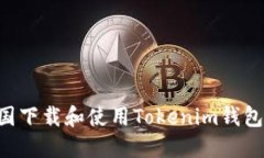 如何在中国下载和使用T