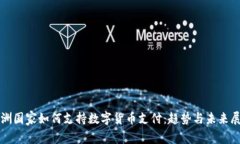 欧洲国家如何支持数字货
