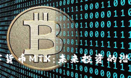 深入探索数字货币MTX：未来投资的潜力与风险分析
