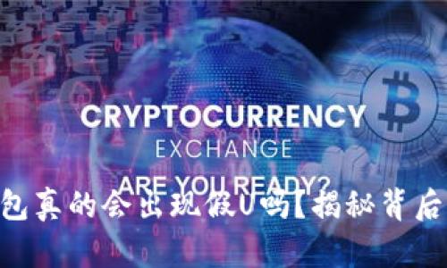 Tokenim钱包真的会出现假U吗？揭秘背后的安全隐患