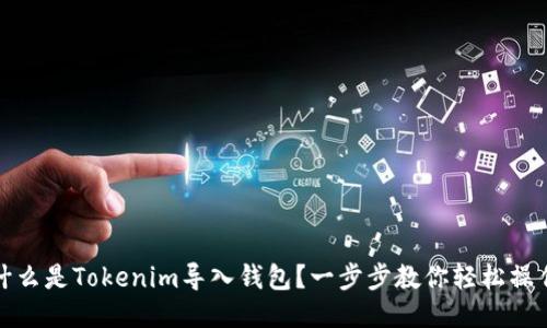 什么是Tokenim导入钱包？一步步教你轻松操作