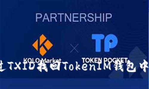 如何通过TXID找回TokenIM钱包中的代币？
