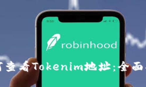 如何查看Tokenim地址：全面指南
