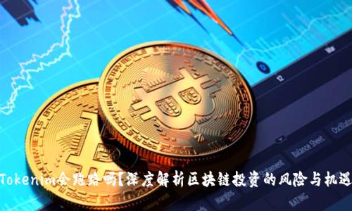 Tokenim会跑路吗？深度解析区块链投资的风险与机遇