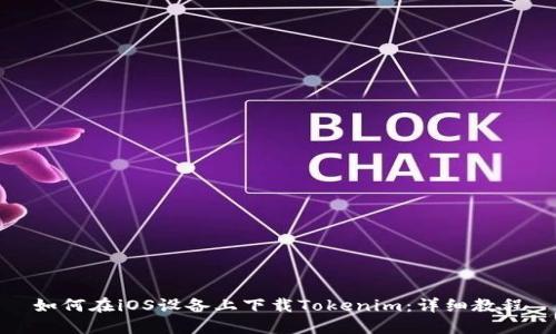 如何在iOS设备上下载Tokenim：详细教程