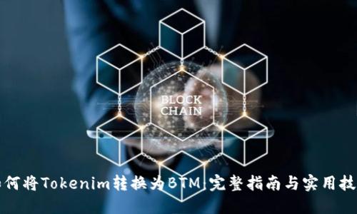 如何将Tokenim转换为BTM：完整指南与实用技巧