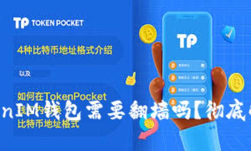 使用TokenTokenIM钱包需要翻墙吗？彻底解析与实用指南