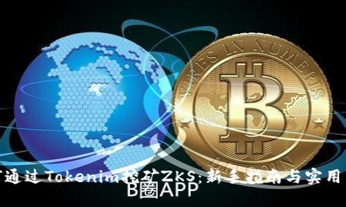 如何通过Tokenim挖矿ZKS：新手指南与实用策略