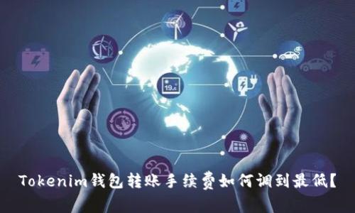 Tokenim钱包转账手续费如何调到最低？