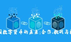 韩国数字货币的未来：合