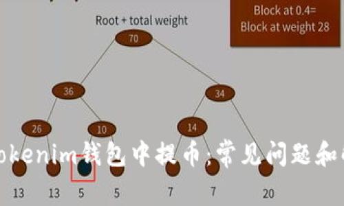 如何在Tokenim钱包中提币：常见问题和解决方案