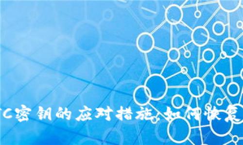 失去Tokenim钱包ETC密钥的应对措施：如何恢复并安全管理数字资产