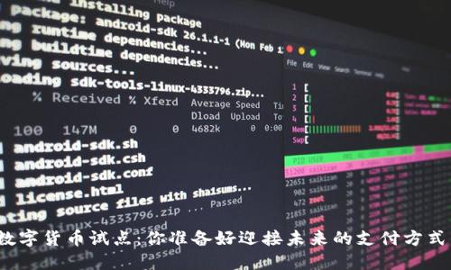 加快数字货币试点：你准备好迎接未来的支付方式了吗？