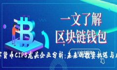 数字货币CIPS龙头企业分析：未来的投资机遇与风