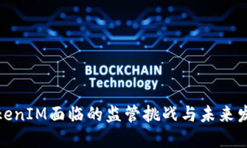 TokenIM面临的监管挑战与未来发展