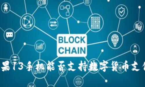 苹果13手机能否支持数字货币支付？