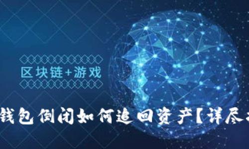 Tokentokenim钱包倒闭如何追回资产？详尽指南与实用建议