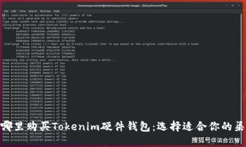在哪里购买Tokenim硬件钱包：选择适合你的渠道
