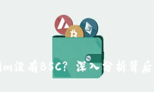 为什么Tokenim没有BSC? 深入分析背后的原因与影响
