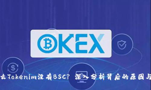 为什么Tokenim没有BSC? 深入分析背后的原因与影响