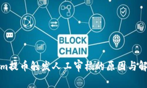Tokenim提币触发人工审核的原因与解决方案