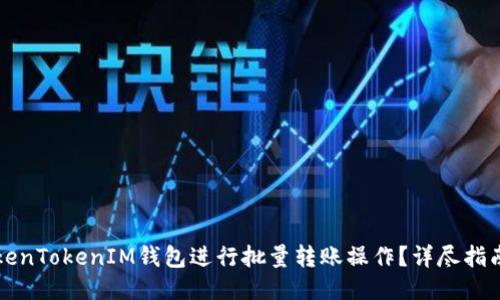 如何使用TokenTokenIM钱包进行批量转账操作？详尽指南与技巧分享