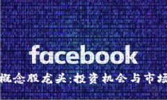 数字货币概念股龙头：投