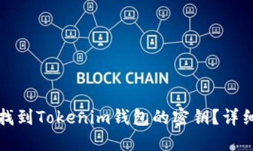 如何找到Tokenim钱包的密钥？详细指南