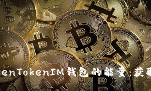 如何提升TokenTokenIM钱包的能量：获取指南与技巧