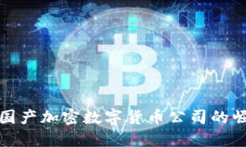 探索中国国产加密数字货币公司的崛起与未来