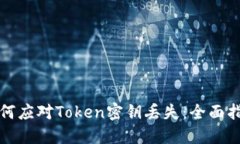 如何应对Token密钥丢失：全