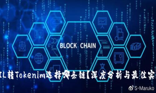 FIL转Tokenim选择哪条链？深度分析与最佳实践