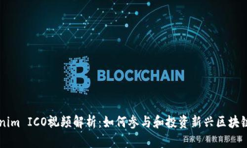 Tokenim ICO视频解析：如何参与和投资新兴区块链项目