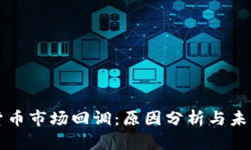 数字货币市场回调：原因分析与未来展望