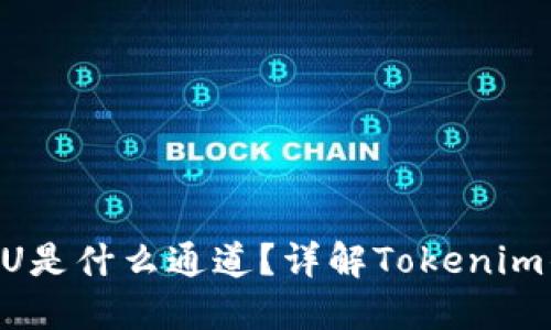 Tokenim转U是什么通道？详解Tokenim的流通机制