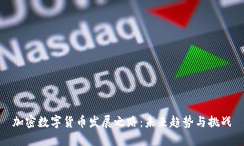 加密数字货币发展之路：未来趋势与挑战