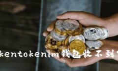如何解决Tokentokenim钱包收