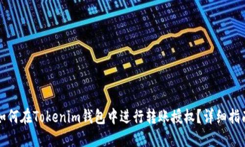 如何在Tokenim钱包中进行转账授权？详细指南