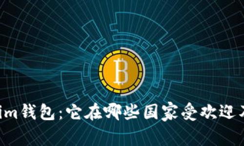 Tokentokenim钱包：它在哪些国家受欢迎及其优势分析