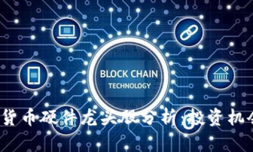 2023年数字货币硬件龙头股分析：投资机会与风险解析