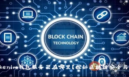 Tokentokenim钱包服务器在哪里？探秘区块链安全与用户隐私