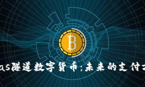 揭秘Las Vegas隧道数字货币：未来的支付方式还是噩梦？